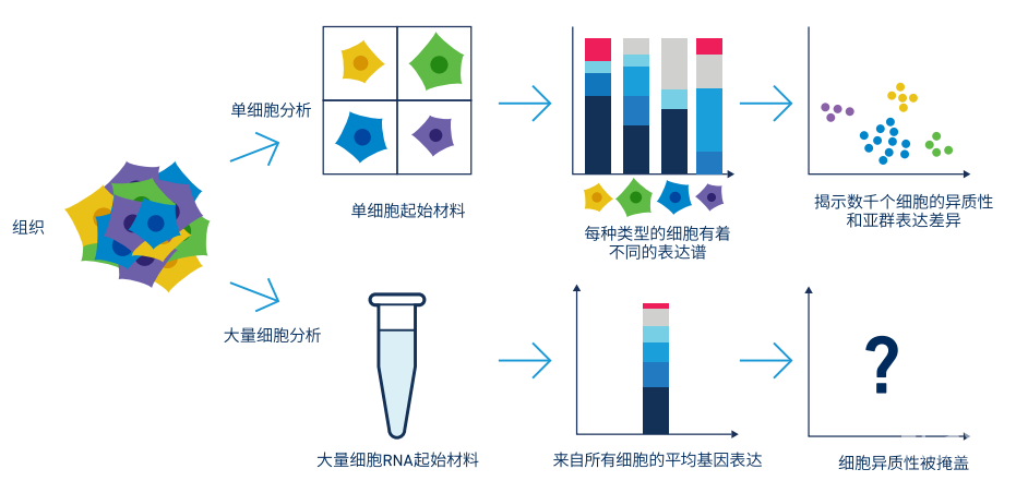 單細(xì)胞測序和傳統(tǒng)測序的區(qū)別.png