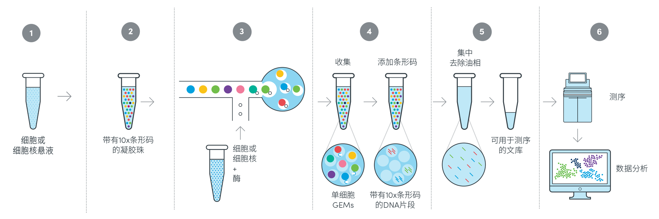 2基于Next GEM技術(shù)的10x Genomics單細(xì)胞技術(shù)原理及工作流程.png